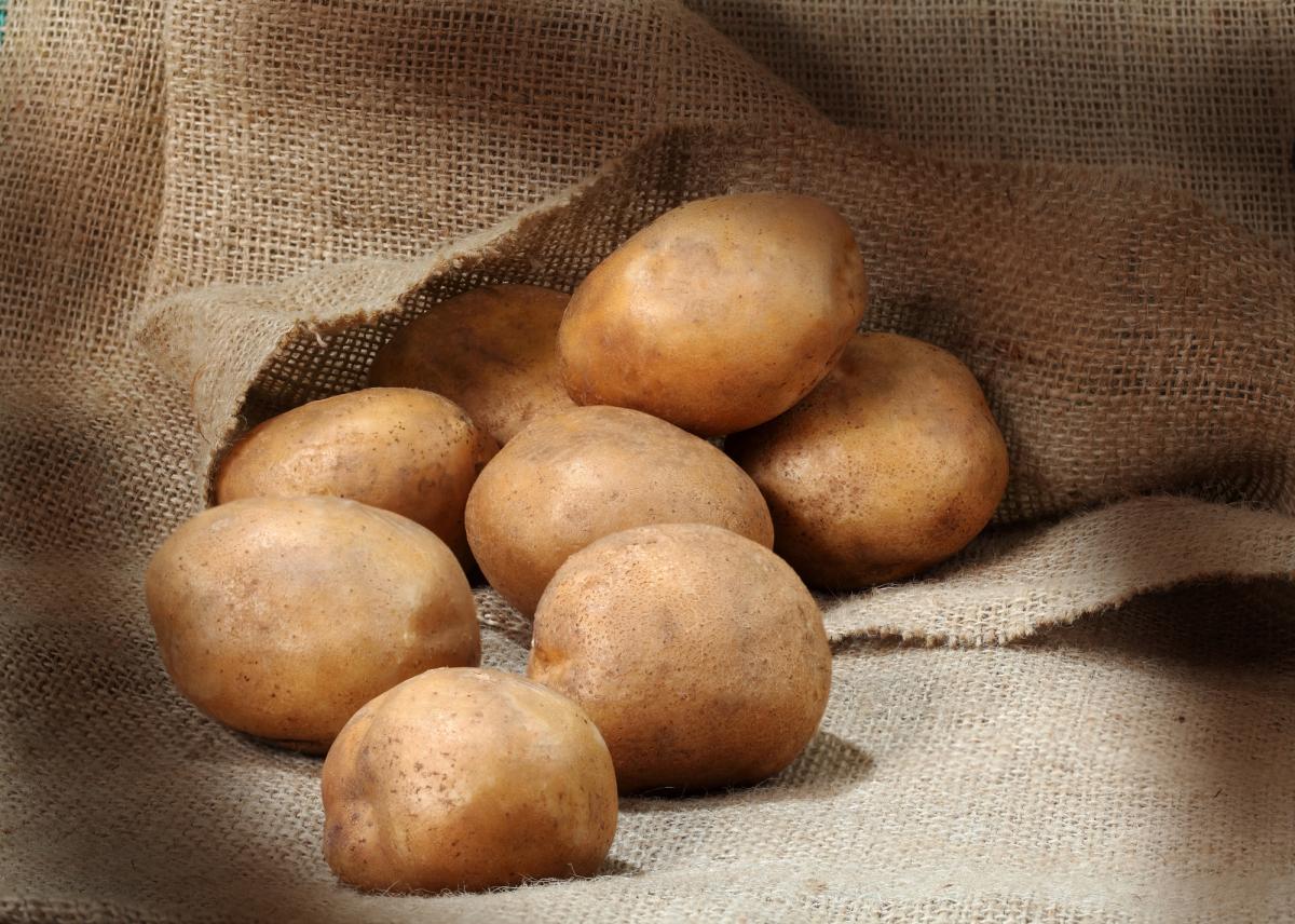 Картофель Картофель