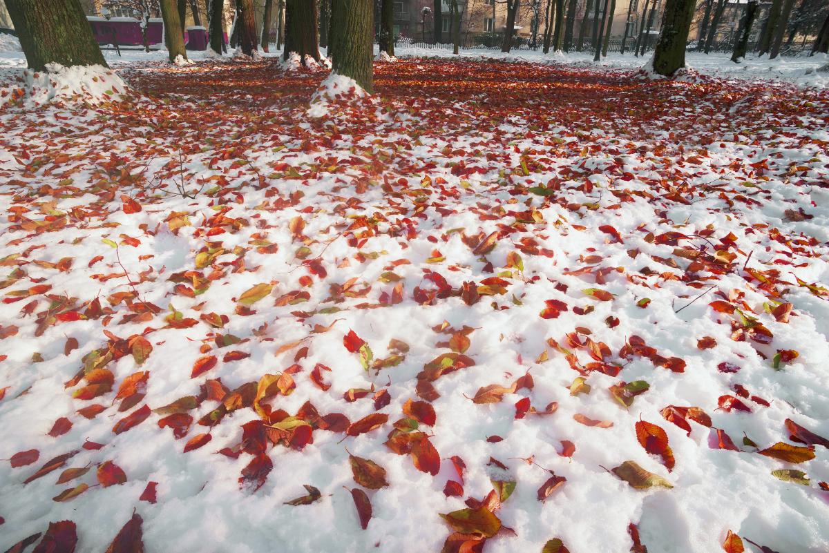 Прогноз погоды на октябрь: синоптик уточнил, где в Украине выпадет снег, а где будет тепло до ноября