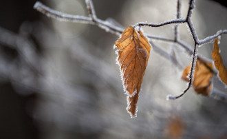 Погода