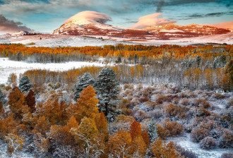 Погода