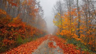Погода