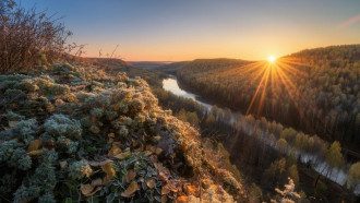 Погода