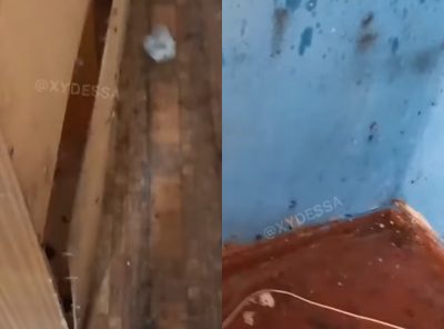 Цвіль,'убиті' меблі та антисанітарія на кухні: як Одеські студенти заселялися в гуртожитки Цвіль,'убиті' меблі та антисанітарія на кухні: як Одеські студенти заселялися в гуртожитки