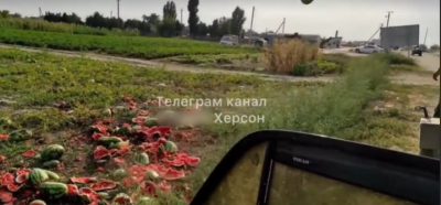 В Сеть 'слили' видео, как фермеры беспощадно уничтожают арбузы