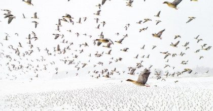 В Сети появились упоительно красивые фото с конкурса Drone Photo Awards 2021