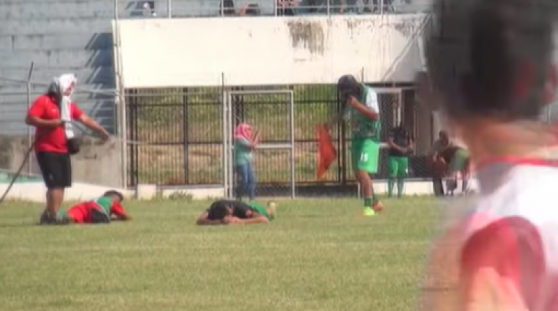 Футболистов Боливии атаковал рой пчел: в разгар игры матч пришлось остановить