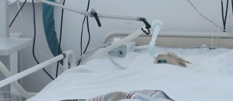 В Черкассах умер 7-летний Андрюша, замученный в доме у бабушки