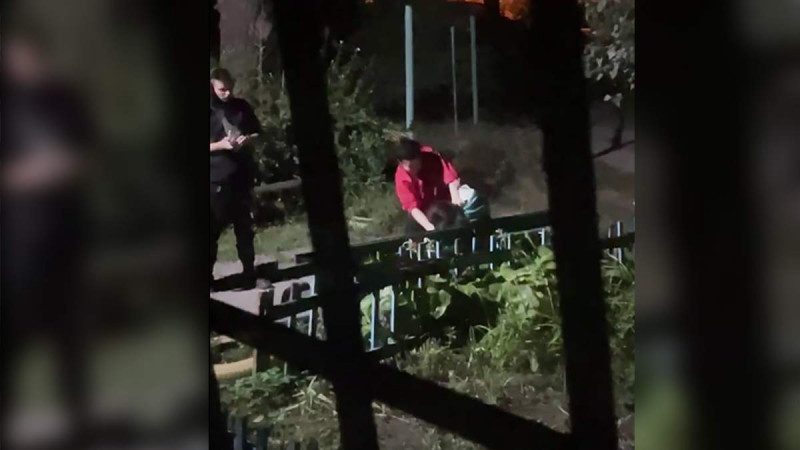 Не поділили хлопця: у Дніпрі дівчата влаштували жорстоку бійку і потрапили на відео