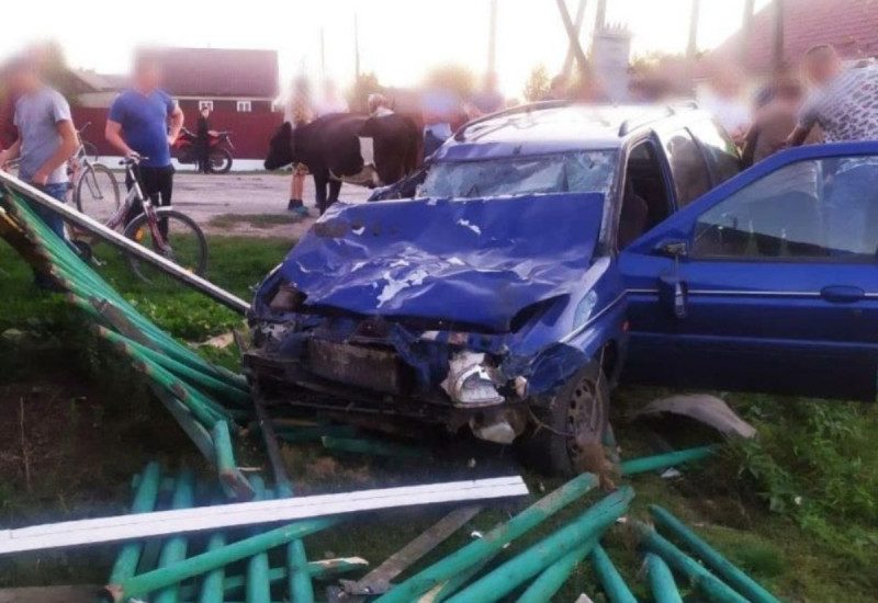 В стельку пьяный водитель взял на таран стадо коров в Ровенской области: двое животных погибли