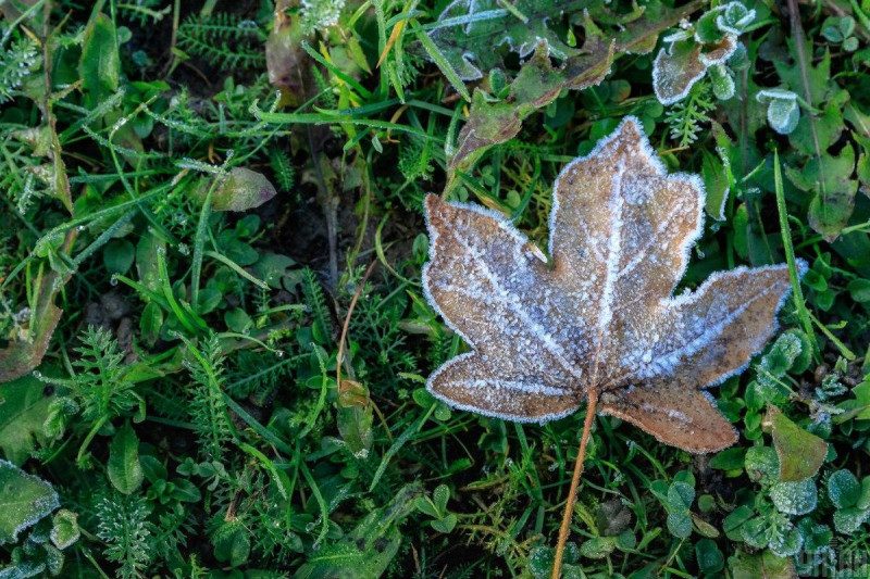Місцями до 9 градусів морозу: якою буде погода в неділю, 24 жовтня