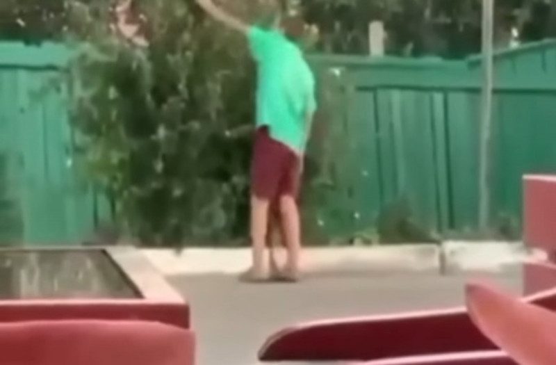 "Мне никто не запретит": на Одесчине мальчик убил щенка и не намерен на этом останавливаться
