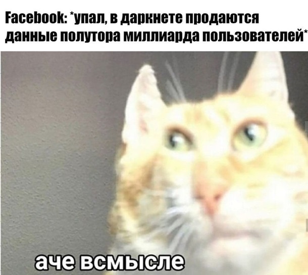 Меми про збій у Facebook