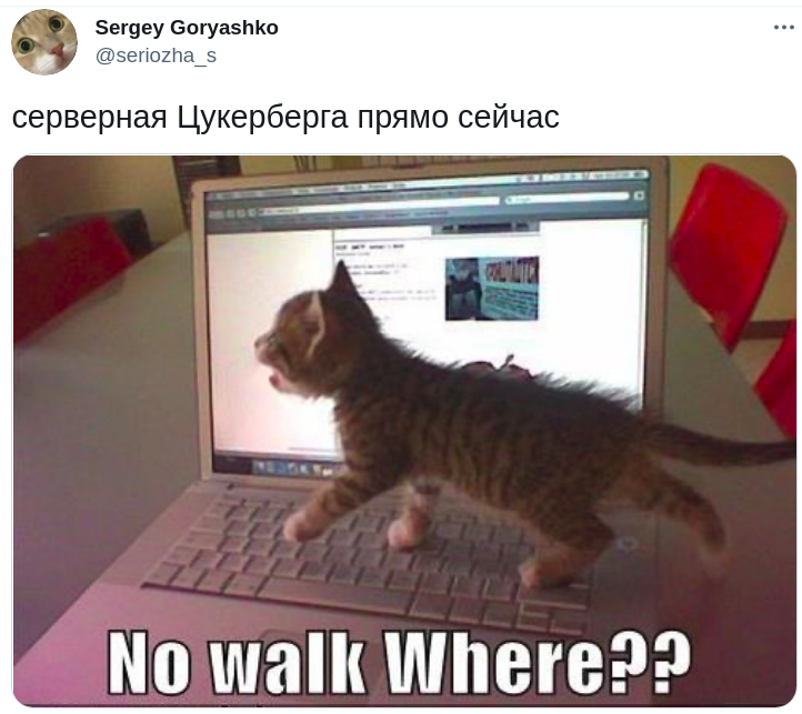 Меми про збій у Facebook