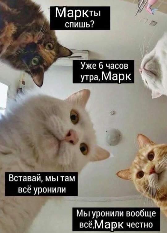 Меми про збій у Facebook