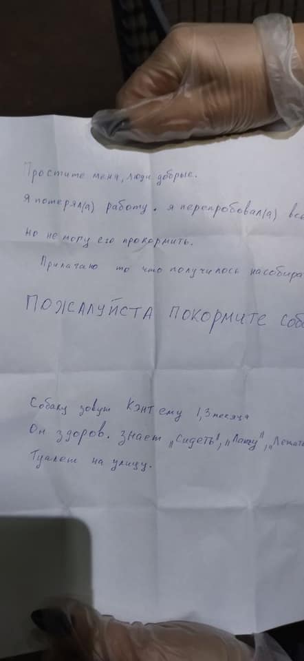 В Запорожье у входа в магазин бросили пса, на поводке - странная записка В Запорожье у входа в магазин бросили пса, на поводке - странная записка