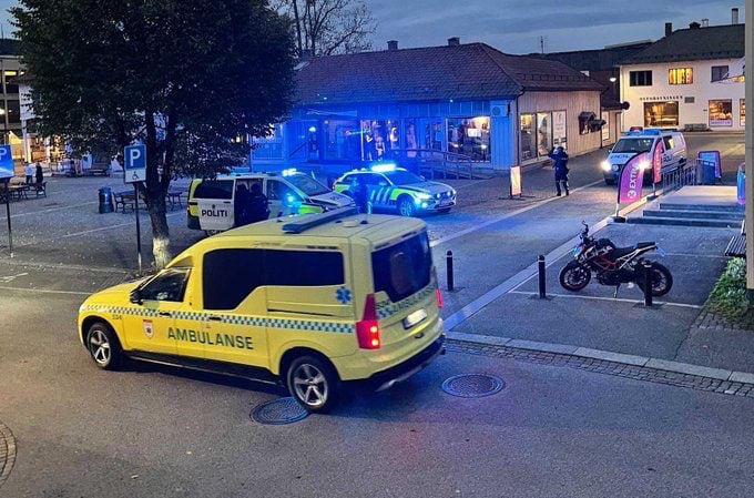 В Норвегии людей застрелили из лука