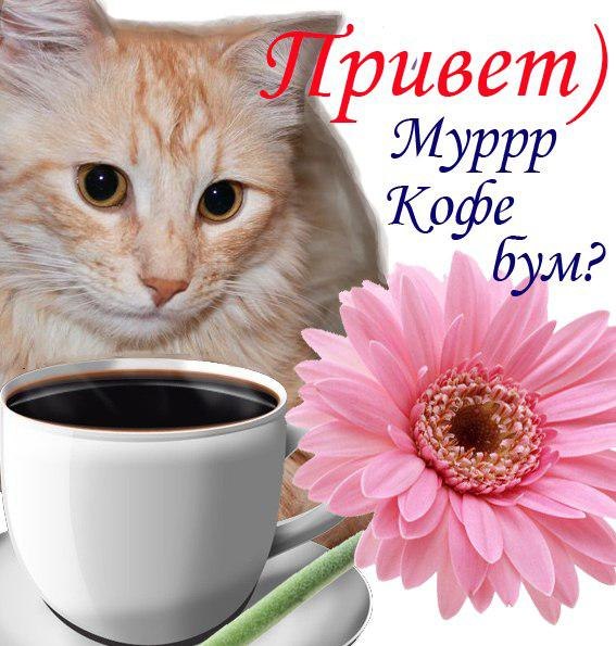 прикольные картинки для настроения прикольные картинки для настроения