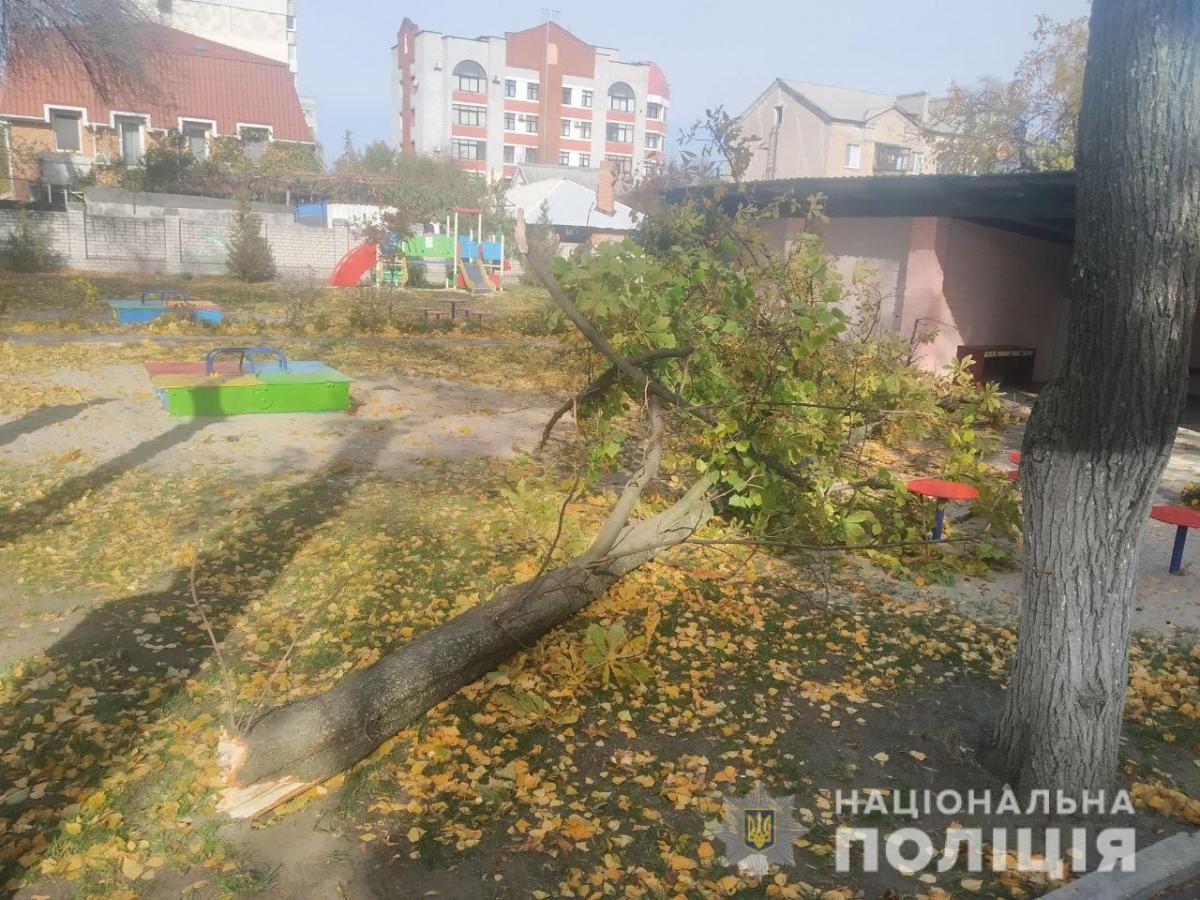 В Кременчуге на детей в садике рухнуло дерево: 4-летняя девочка умерла