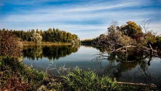 осень
