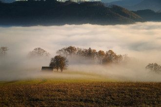 осень