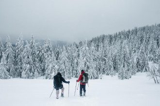 Карпаты