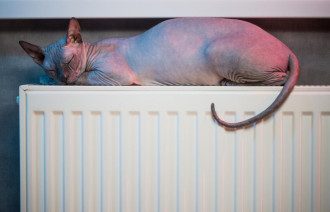 Как сэкономить на отоплении в квартире