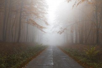 осень