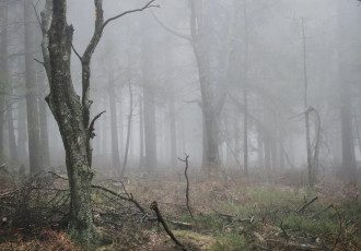 осень