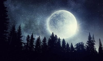 Повний місяць у жовтні 2021 Повний місяць у жовтні 2021