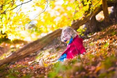 В Україну прийде друге 'бабине літо': коли чекати на аномально теплу погоду В Україну прийде друге 'бабине літо': коли чекати на аномально теплу погоду