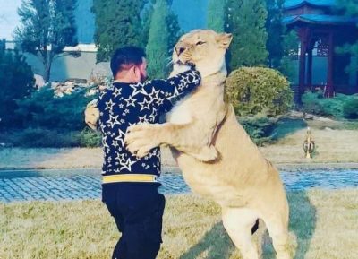 У Харкові депутат від ОПЗЖ купив собі лева і катає його на джипі