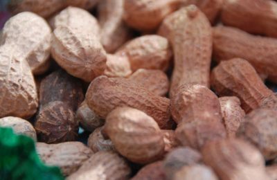 Як впливає поїдання арахісу на мозок - відповідь дослідників