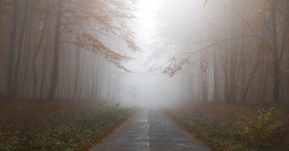 В Украину ворвется антициклон Rozamunde и принесет резкую смену погоды