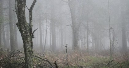 Приметы на 30 октября: что нельзя делать в самый опасный день осени