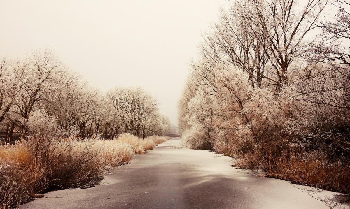погода погода