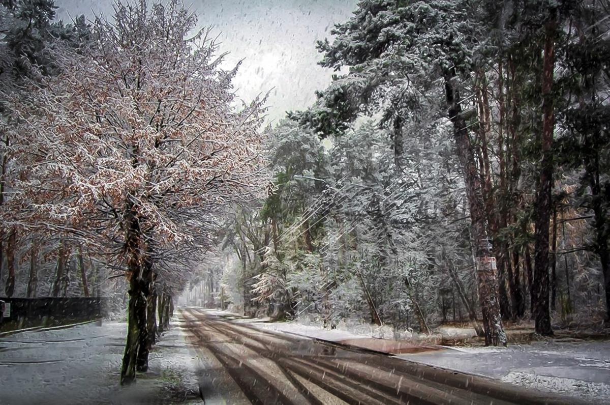 В Украину движется первый снег: синоптики назвали дату
