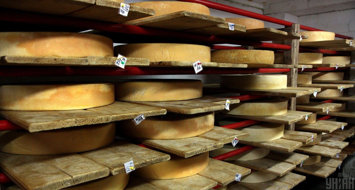 Можно ли сыр есть каждый день - ответ диетолога