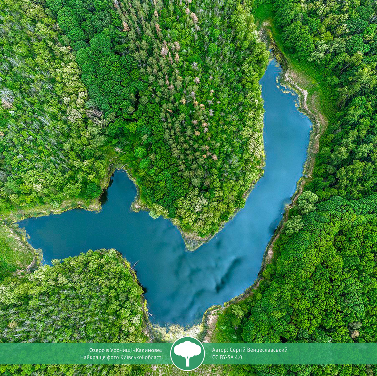 ТОП-10 світлин "Вікі любить Землю 2021" ТОП-10 світлин "Вікі любить Землю 2021"