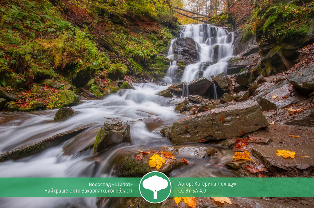 ТОП-10 світлин "Вікі любить Землю 2021" ТОП-10 світлин "Вікі любить Землю 2021"