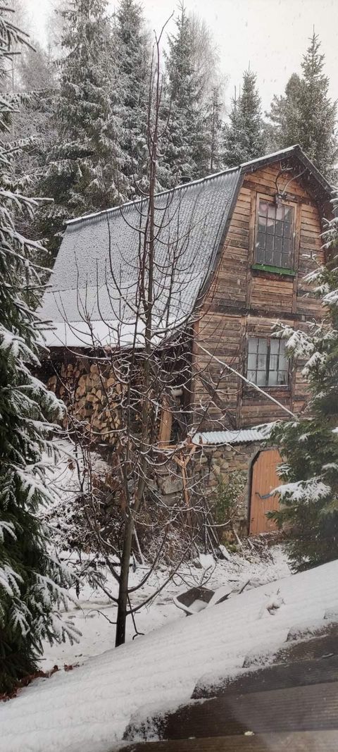 Намело метровые сугробы: Карпаты засыпало снегом