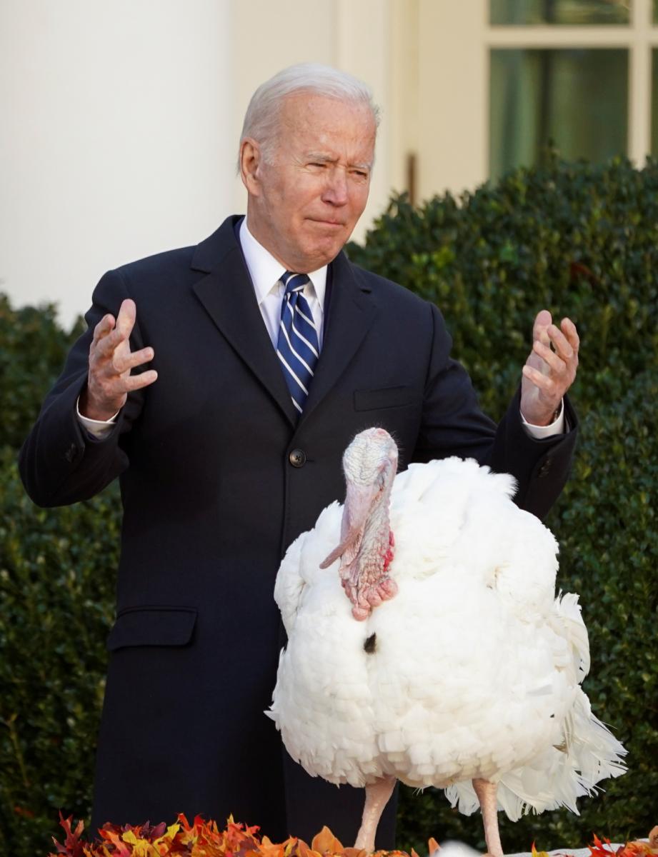 Байден помилував двох індичок на честь Дня подяки