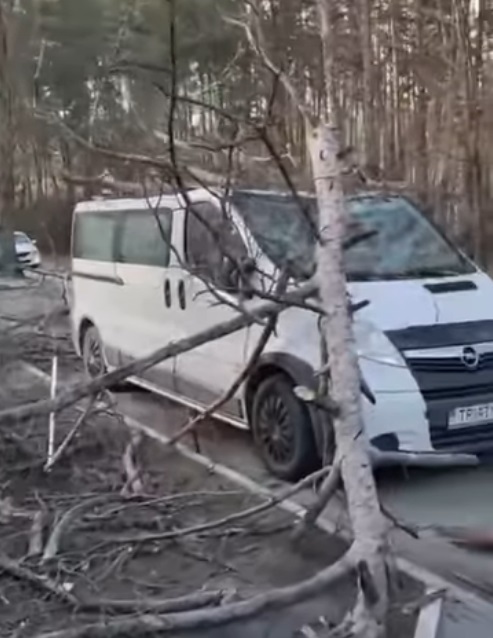 Сонник дерево упало на крышу дома