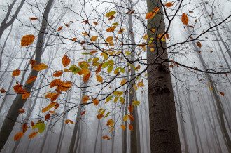 погода
