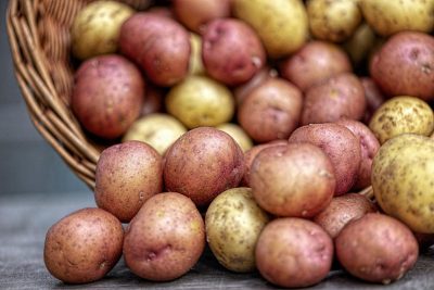 Картопля - вбивця мозку: в чому реальна користь і шкода продукту