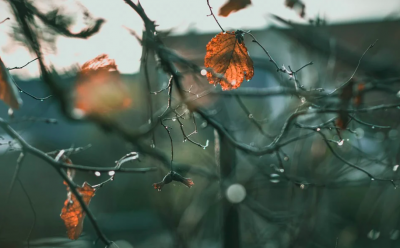 Синоптик оголосив на сьогодні штормове попередження: де буде сильний вітер і злива