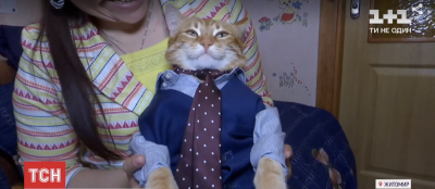 Кіт Міккі з Житомира потрапив до Книги рекордів України: чим він знаменитий
