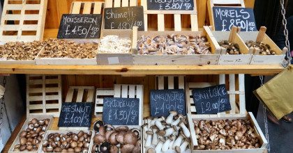 Исчезнет популярный продукт: в Украине могут запретить продажу грибов