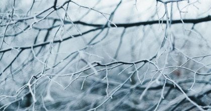 Мороз не відступає з Полтавщини: місцевих жителів попередили про зміну погоди