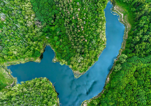 Вікіпедія визначила найкрасивіші природні пам'ятки України