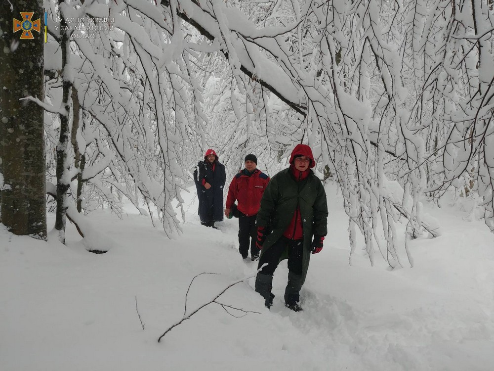 Пошуки зниклого туриста у горах Закарпаття